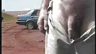 Ant juodo gaidžio at ...