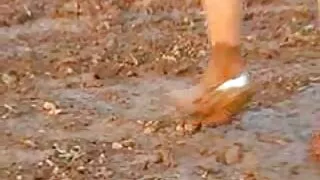 Šviesiaplaukė neklau ...