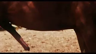 Vaikinai išsimaudė g ...