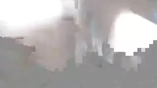 Karšta burna švelni  ...