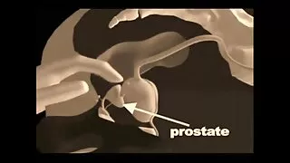 Plikis apsilaižė sav ...